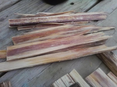 fatwood resin strips.jpg