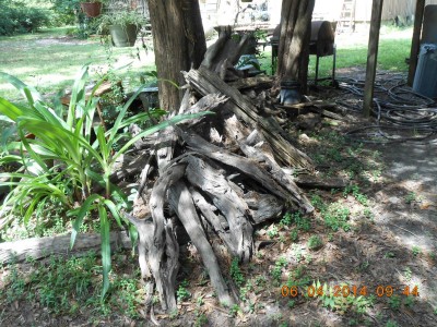 DSCN3832.JPG