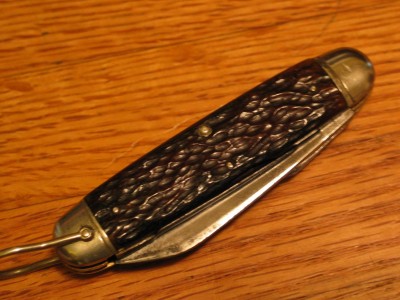 R3333 002.JPG