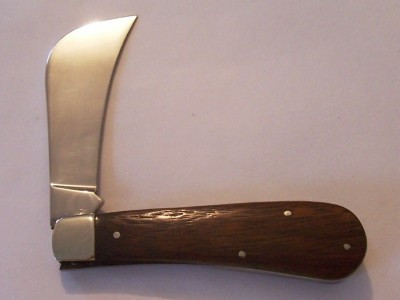 case tested xx walnut hawkbill 11011 back.jpg