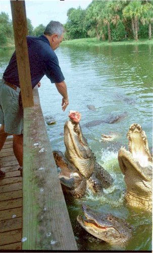 Feeding time.jpg