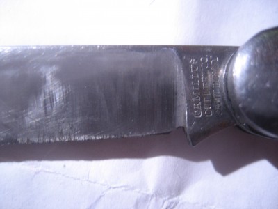 Picture 113.jpg