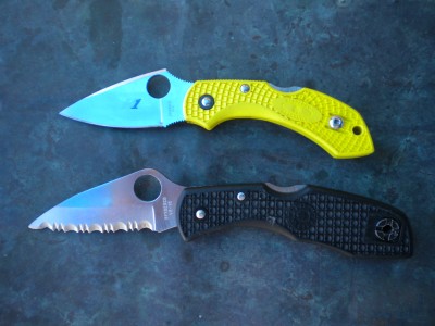 DRAGONFLY AND DELICA.JPG