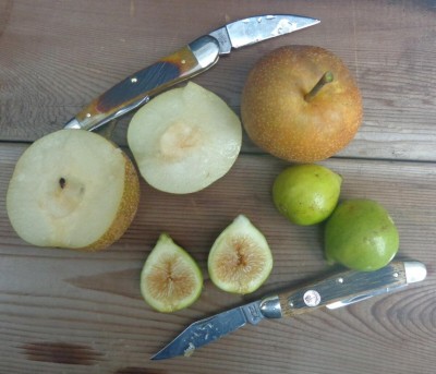 Case_Boker_Figs_Pears.jpg