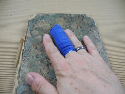 DSCN4564.JPG
