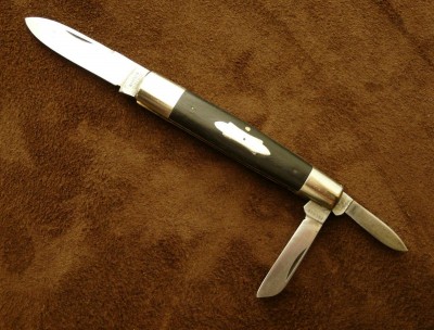 RobesonPremierWhittlerB.jpg