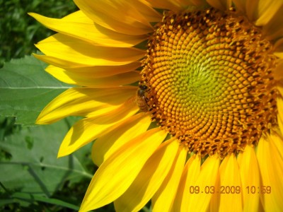 9-3-09 1059 am.jpg