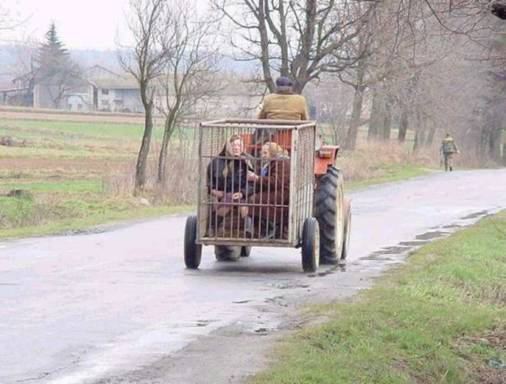 2ND PLACE SERBIA.jpg