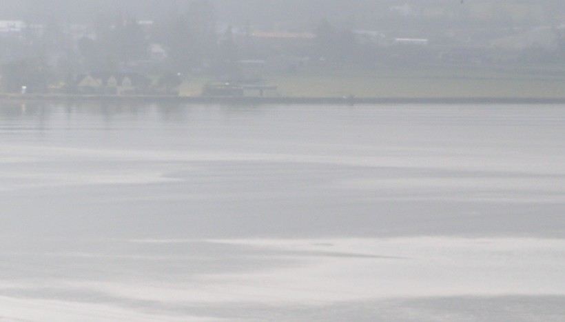 The large dark spots in the water are reflections of the overhead clouds.