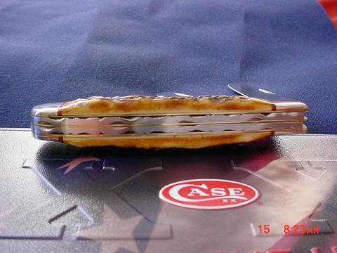 CASE XX KNIVES 001.jpg
