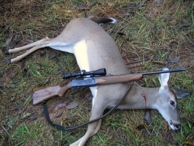 125lb, DOE  October 21,2014.JPG