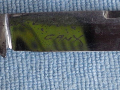 RIMG0130.JPG