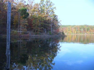 Lake Russell.JPG