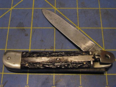 BonsaSpringer 001.jpg