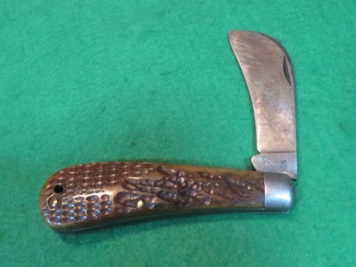 hawkbill.JPG