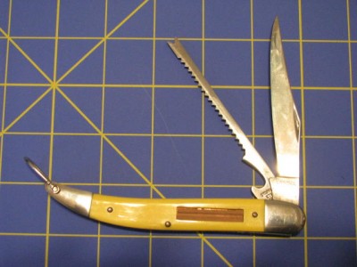 WenokaFish1.jpg