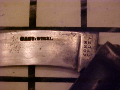 JohnCopleyHawkbill2.JPG