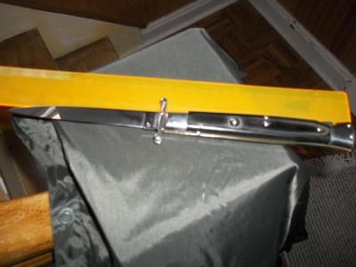 italian swing guard 002.JPG