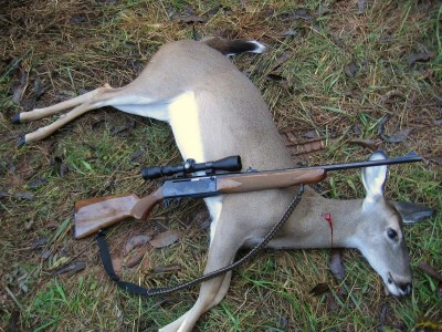 125lb, DOE  October 21,2014.JPG