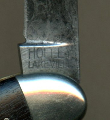 Holley nurseryman499 (2).jpg