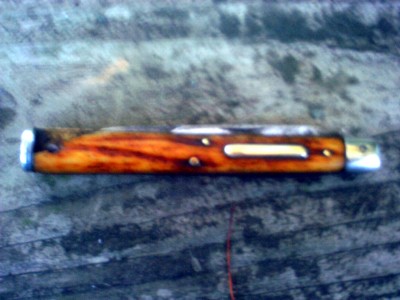 IMAG0490.JPG