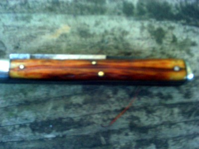 IMAG0487.JPG