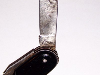 100_0310 cropped.jpg