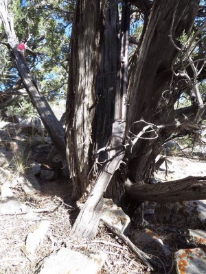 Lost1873Winchester.jpg