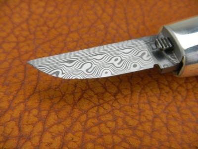 DSCN6876.jpg