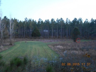 2 does lookin' for "Romeo", who just began his dirt nap. You can make out his white belly in the red circle