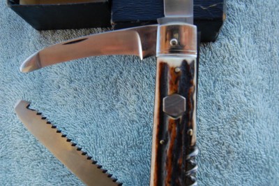 959 puma 006.JPG