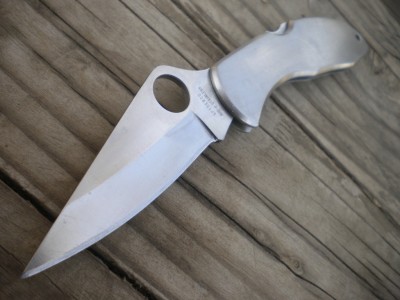 STAINLESS SPYDERCO 020.JPG