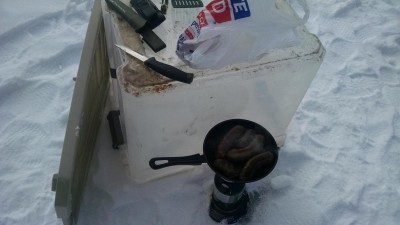 IMG_20150301_140756102.jpg
