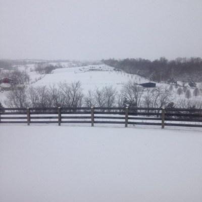 snow.JPG