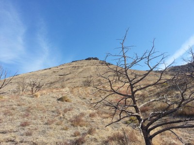 The long steep walk up the hill.jpg