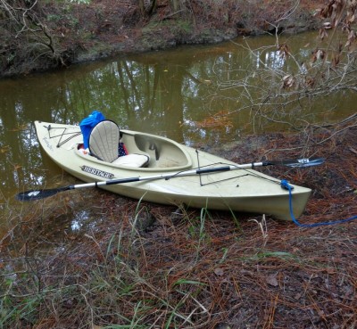 Bayou1.jpg