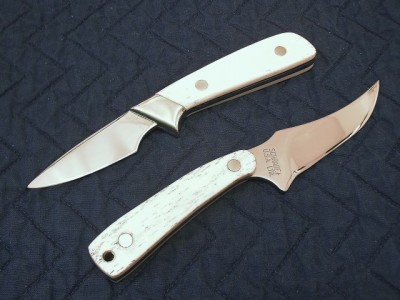 WHITE BONE 640 X 480.jpg