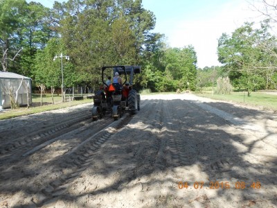 Planting Silver Queen sweet corn
