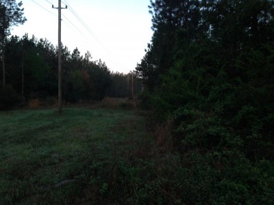 IMG_6257.JPG