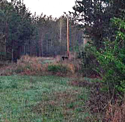 The Colonel's Bear.JPG