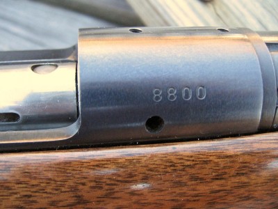 Serial #8800.JPG