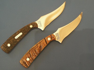 JIGGED BONE-RAMS HORN-3.jpg