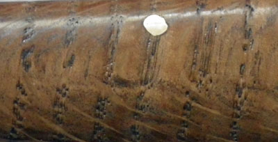magna carta patina.jpg