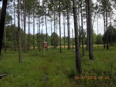 game camera, feeder, food plot and shooting house