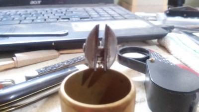 20150603_163153.jpg