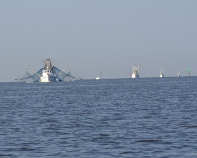 Shrimp_Boats.jpg