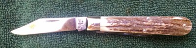 Case Custom stag 6202 a.jpg