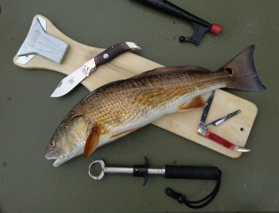 Redfish.jpg