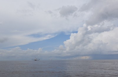 Bay1.jpg