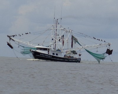 Bay2.jpg